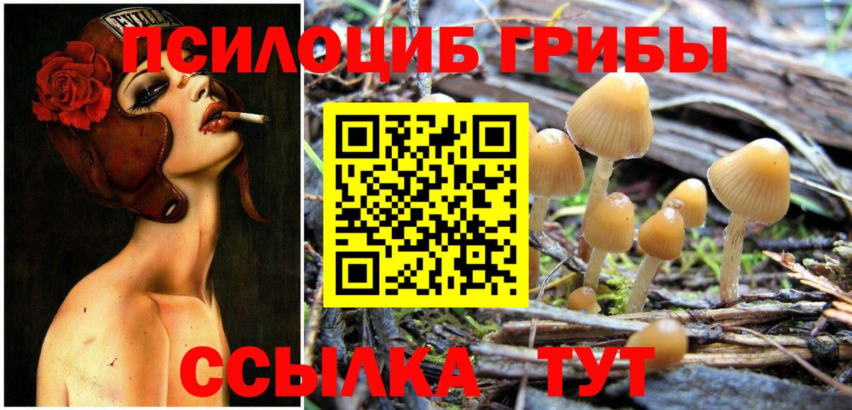 Галлюциногенные грибы Magic Shrooms Кузнецк